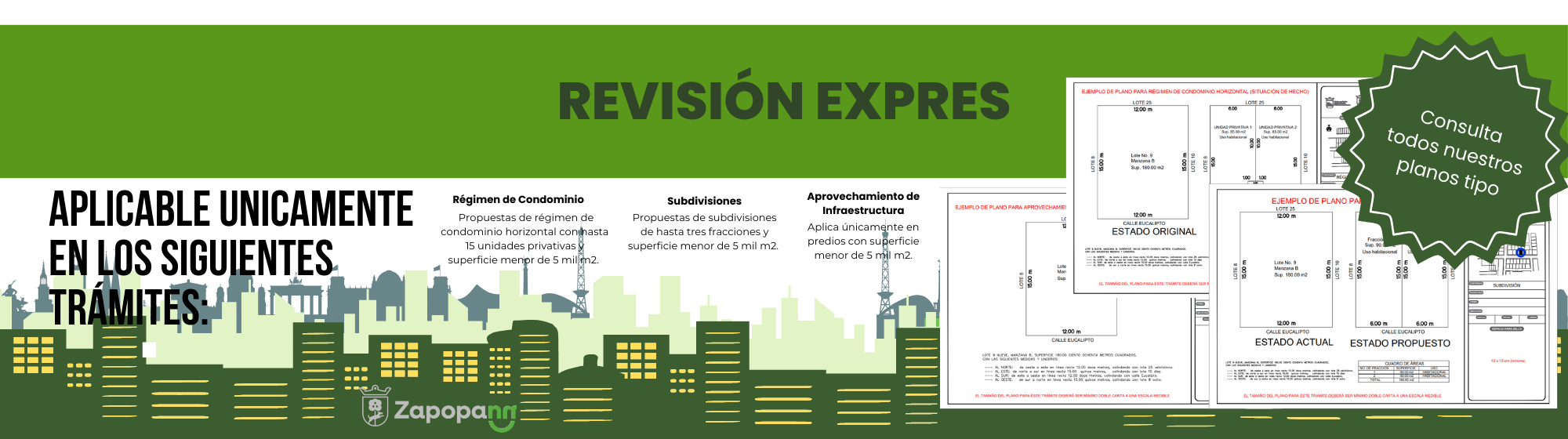 Revisión express