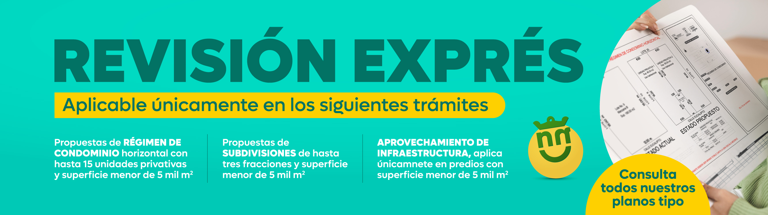Revisión express