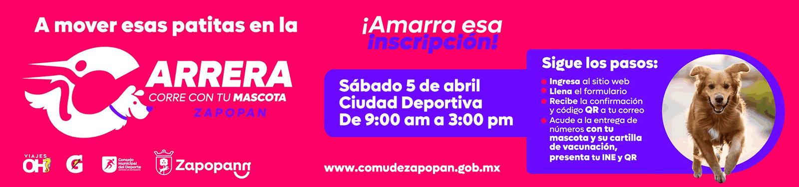 Carrera perruna