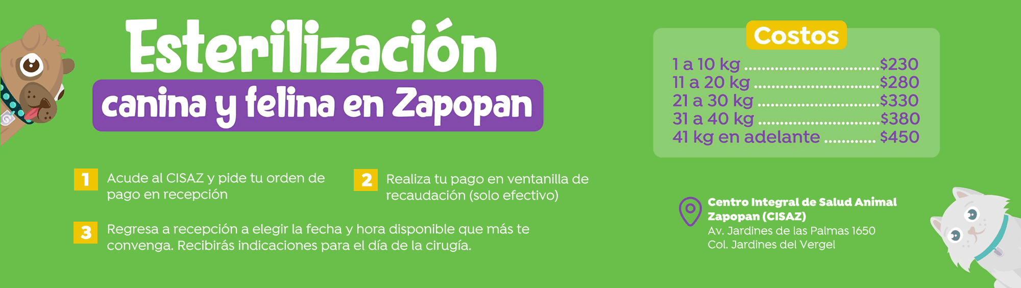 Campaña de esterilización