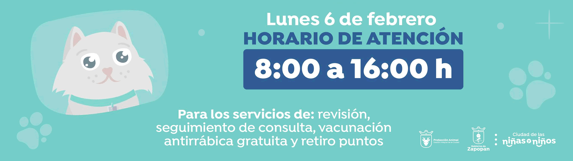 Conoce nuestros servicios