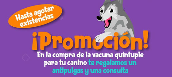 Campaña de vacunación