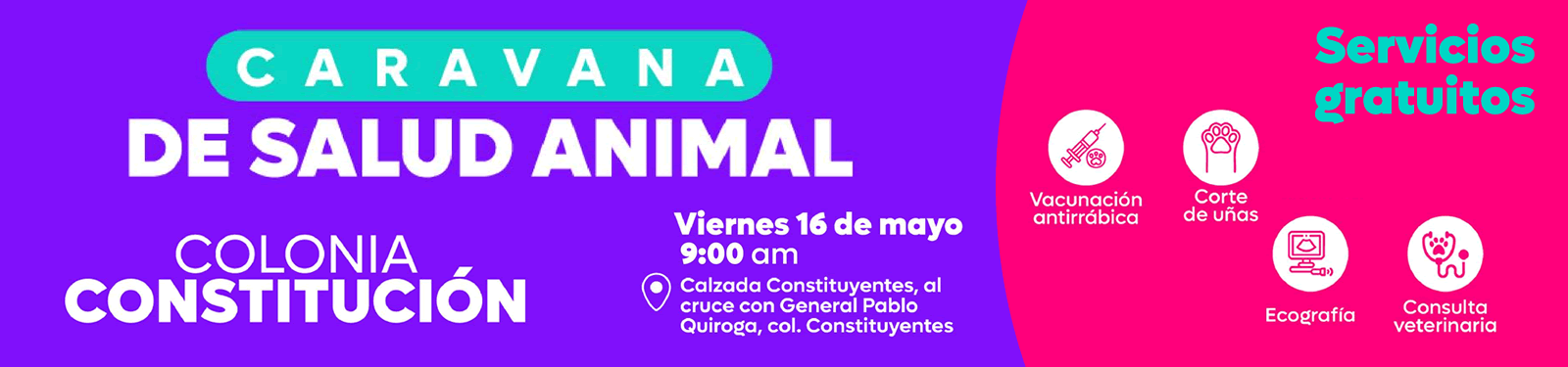 Caravana de salud animal: Col. Constitución