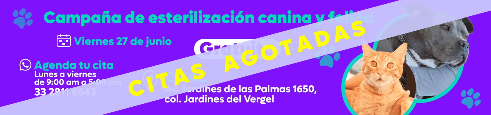 Campaña de esterilización gratuita