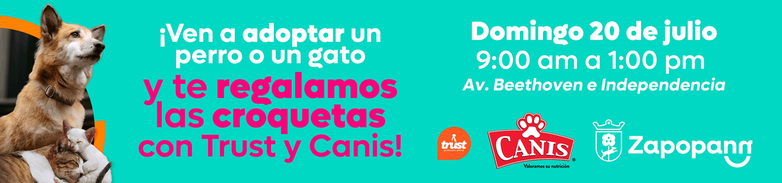 Adopta una mascota en la Vía