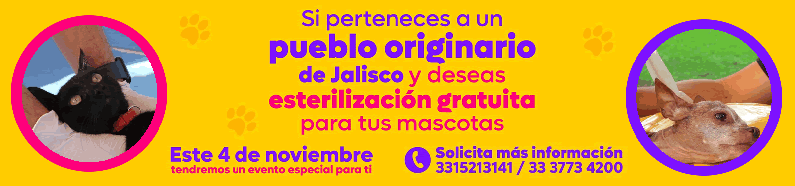 Campaña de esterilización para pueblos originario de Jalisco