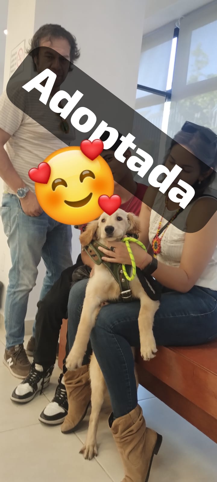 Mascota en adopción